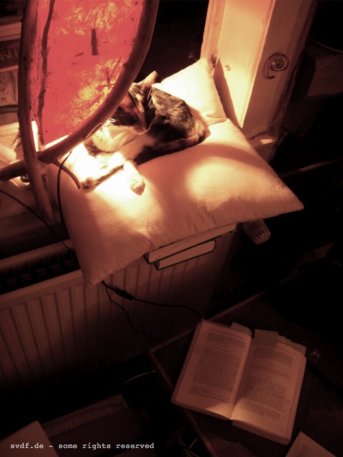 solarium