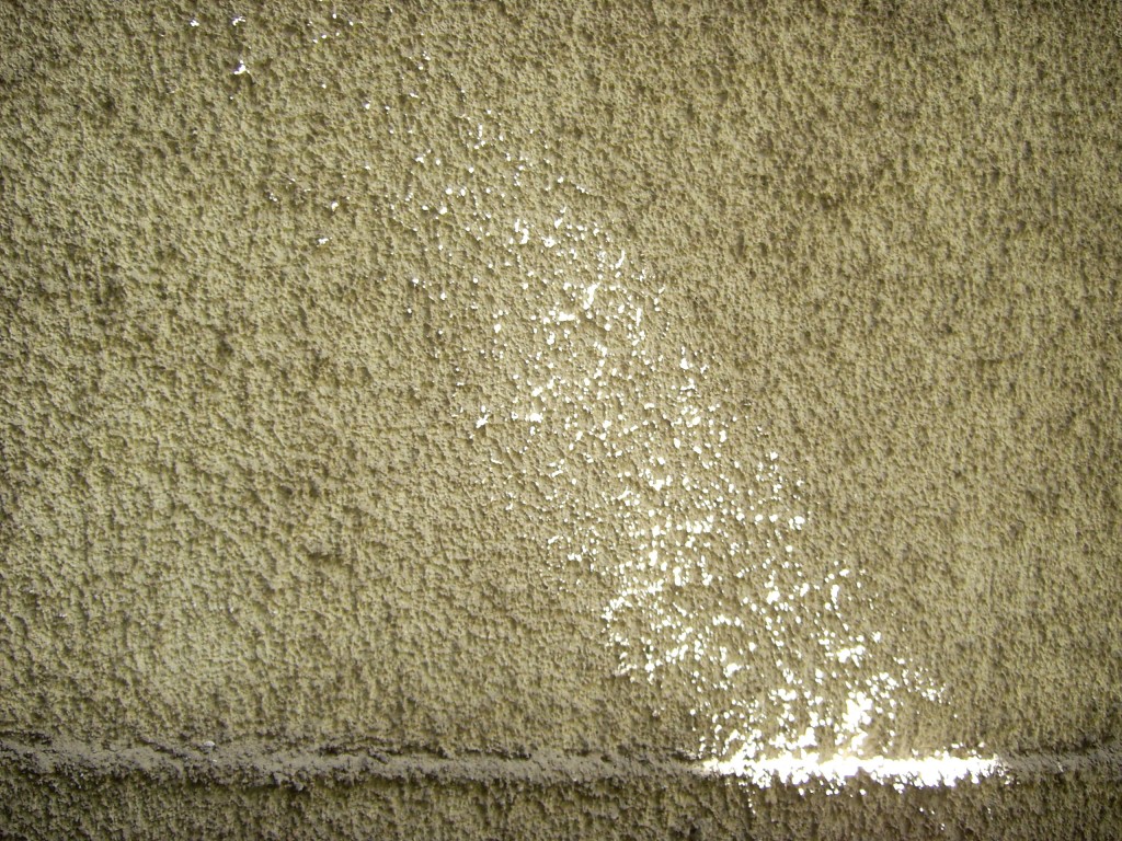 sonnenstrahl