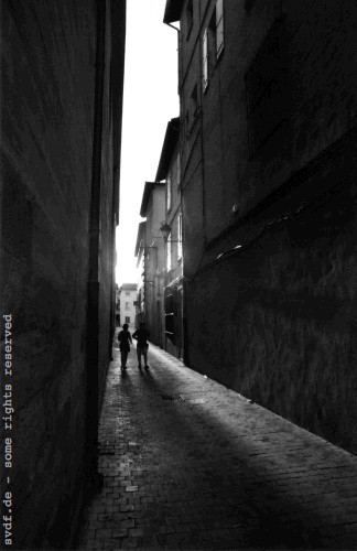 avignon4