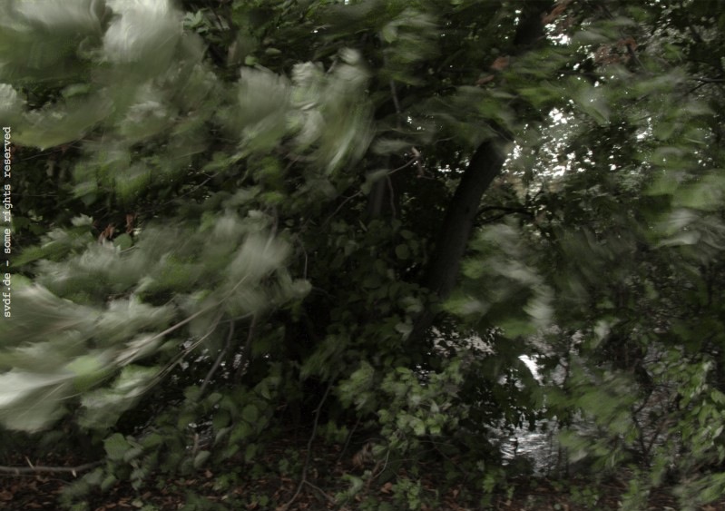 herbstwind1