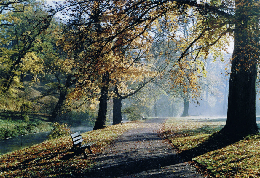 herbst_im_park