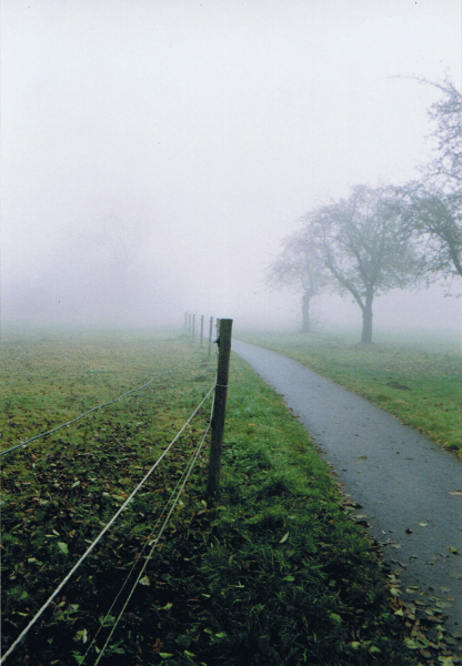 nebel